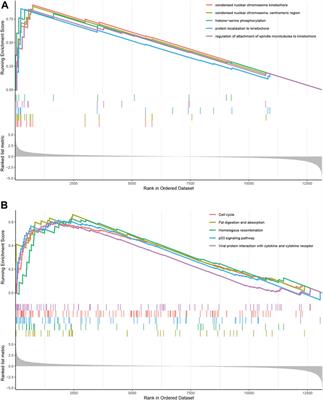 Identification of Key Biomarkers and Immune Infiltration in Sciatic Nerve of Diabetic Neuropathy BKS-db/db Mice by Bioinformatics Analysis